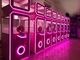 Equipo rosado de fichas de Arcade Game Capsule Toy Lottery de la máquina expendedora del regalo